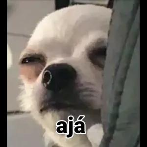 jCqFJs