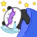 buenas noches 