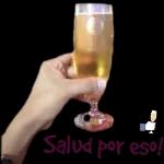 Su mensaje ha sido leído e ignorado con éxito.