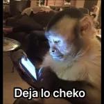 yo mero