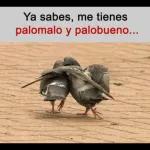 YO OPINO QUE LE BOMBARDIEMOS EL CULO