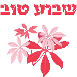 בהצלחה