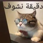 جيري
