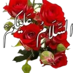 مرو السلام و رحمة الله و بركاته