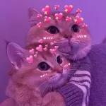 Buenas noches....💕 