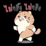 มอบ...
คณ
คิรา