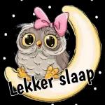Lekker slaap