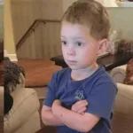 intersting memes🤓