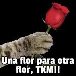 ¿Con permiso con quién?