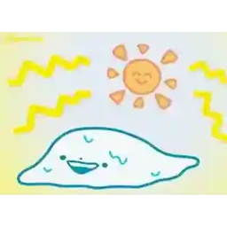 祝你有個美好的一天。