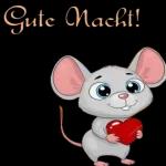Gute Nacht!