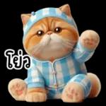 แมวขี้โมโหในชุดนอนสีอ่อน