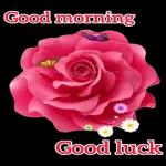 peace and love🤟✌️😘❤️