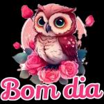 dias semana