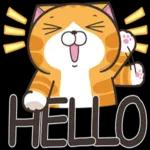 白烂猫   😎😎