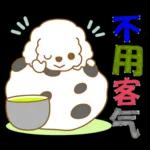 白貴賓犬表情包