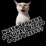 ESSE CURSO DE MENTIRA TU FEZ ONDE?
