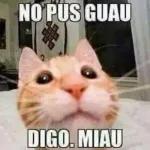 Para cuantos Besitos Me alcanza?