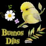 buenos dias