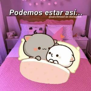 BvlHPb