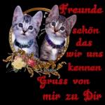 Freundschaft übertrumpft alles🌈