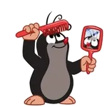 สวัสดีตอนเช้า