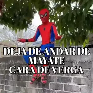 pGrAvs