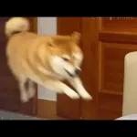 Qué se sentirá ser feo?