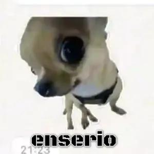 SxNUYP