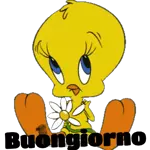 buongiorno