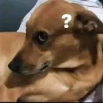 pvp o miedo