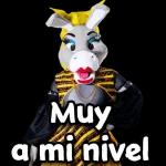 pero, pues cada quien, ¿no?