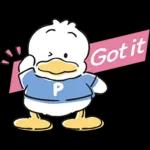 Pekkle Duck