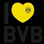 NUR DER BVB 