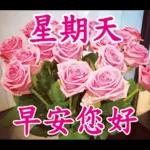 不要發送早上的圖片