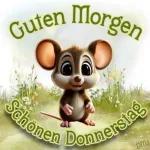 Allgemeines 😎