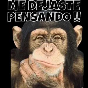 ME DEJASTE PENSANDO!! - getsticker.com