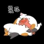 肥貓躺躺(上班鳥事)