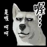 動物鄉民
