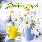 доброе утро!