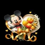 We all love Mickeymaus!❤️