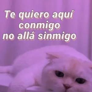 OiHbJf