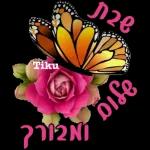 הורדה חינם, עדכונים יומיים, אין צורך בכניסה