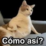 Ya la tengo oo mojadita como te gusta ¿Quieres ver? 