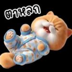 แมวขี้โมโหในชุดนอนสีอ่อน