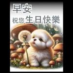 瑪爾濟斯小狗對你說早安40大貼圖-3
