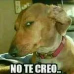 MUCHAS GRACIAS