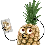 shockwuetend