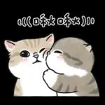 愛撒嬌的奶油小生 (虎斑貓)