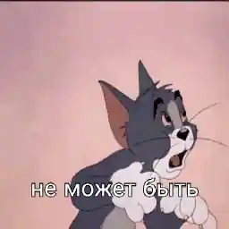мой1 